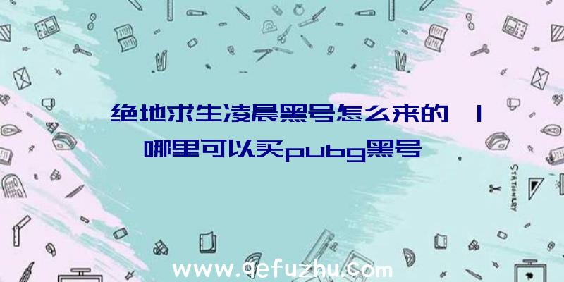 「绝地求生凌晨黑号怎么来的」|哪里可以买pubg黑号